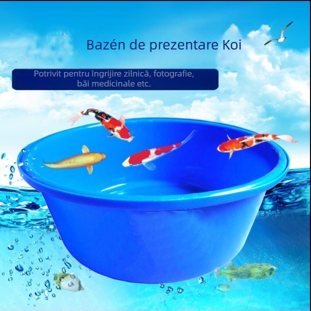 Bazin plastic pentru iaz de pește koi - portabil, bazin de măsurare, 3 kg, echipament acvaristic