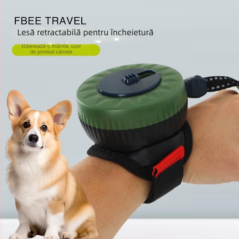 Xinmeilong Lesă de mână pentru animale de companie – Lesă automată retractabilă pentru pisici, din plastic