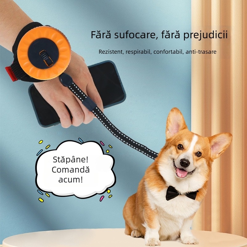 Xinmeilong Lesă de mână pentru animale de companie – Lesă automată retractabilă pentru pisici, din plastic