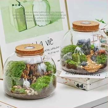 Sticluță Micro-Landscape Ecologică cu Mușchi, Vază din Sticlă pentru Hidroponie, Ornament pentru Betta Acvariu, Sticlă Borosilikat Înaltă, Pentru Expunere, Ambalare în Carton