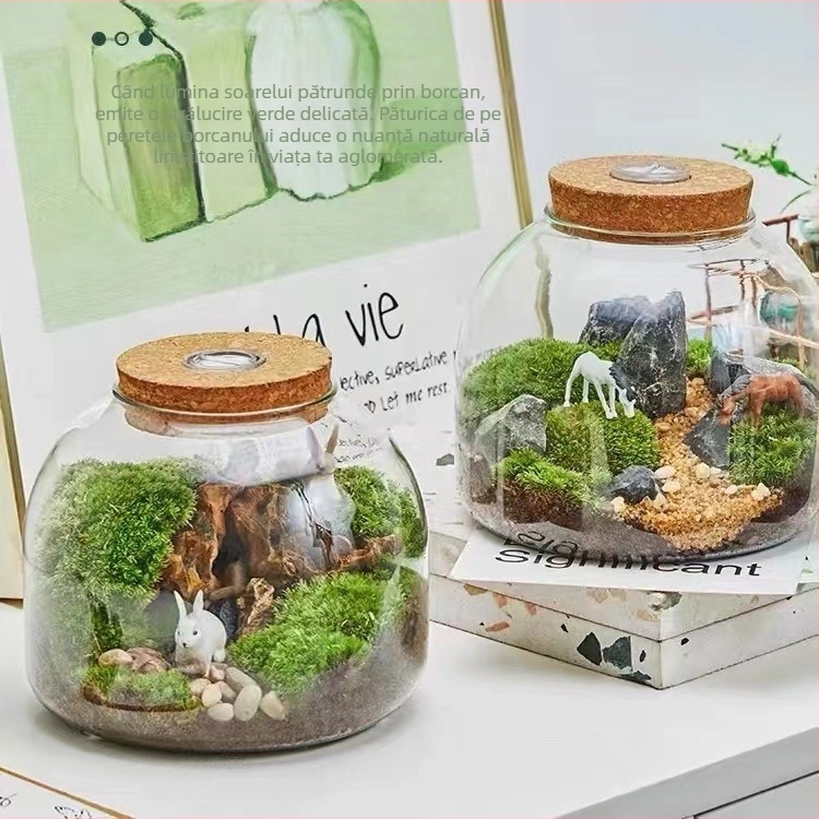 Sticluță Micro-Landscape Ecologică cu Mușchi, Vază din Sticlă pentru Hidroponie, Ornament pentru Betta Acvariu, Sticlă Borosilikat Înaltă, Pentru Expunere, Ambalare în Carton