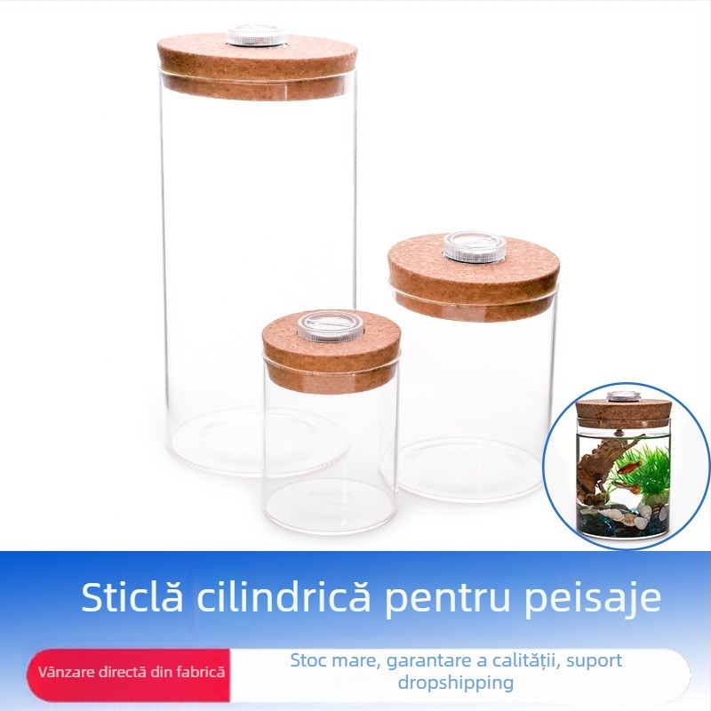 LeVana borosilikat sticlă ecologică pentru peisaje mini DIY cu mușchi – ambalaj carton, afișare pe birou, cadou