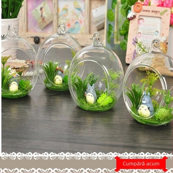 Vază globulară suspendată — sticlă borosilicată de înaltă calitate, suflată, suprafață lustruită, personalizabilă, stil pastoral