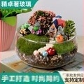 Vază de sticlă în formă de bol pentru micro-peisaj, terrarium hidropnic cu mușchi, din sticlă borosilicată de înaltă calitate, decor pentru casă.