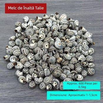 Material decorativ din scoică conch – natural; stil mediteranean; scoică și concha; pentru sticle drift și amenajări acvatice; Ocean Love