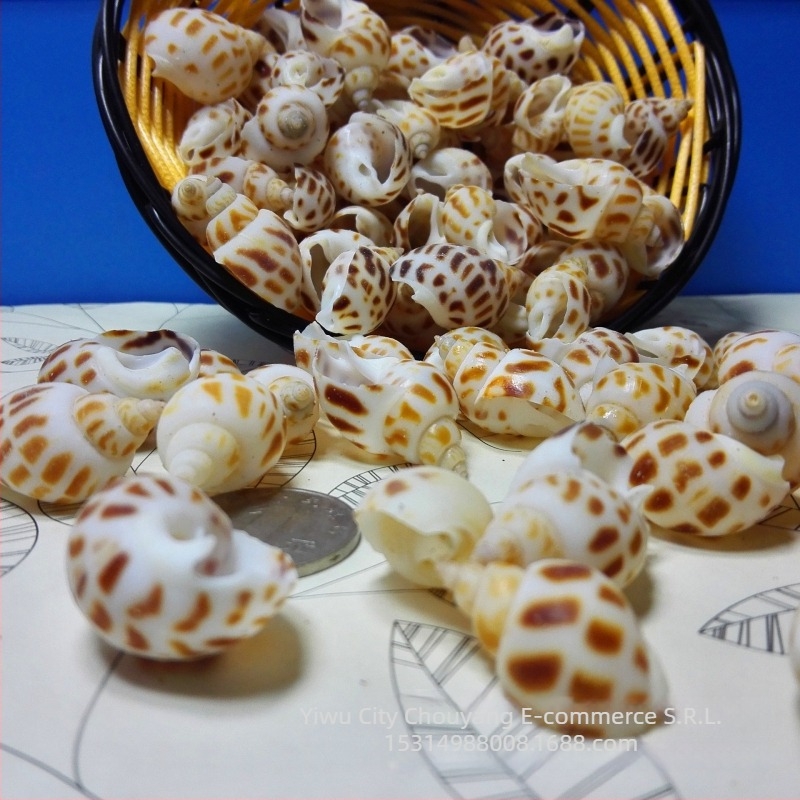 Decorațiuni pentru acvariu din cochilii - Underwater Baby, scoici naturale, formă naturală, stil chinezesc nou