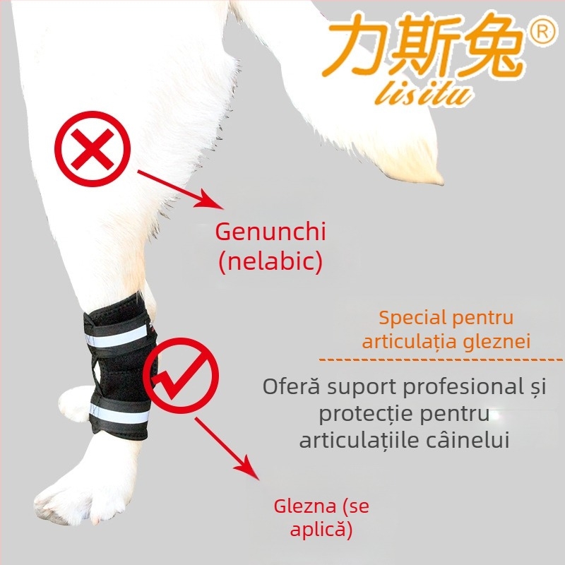 Splint pentru fractură la laba din spate a câinelui – neopren Lis Rabbit, utilizare generală