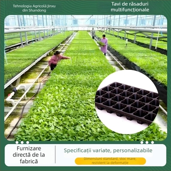 Tavă pentru răsaduri din PET, Seedling tray 002, pentru cultivarea răsadelor, legume, împădurire, Jin Xu