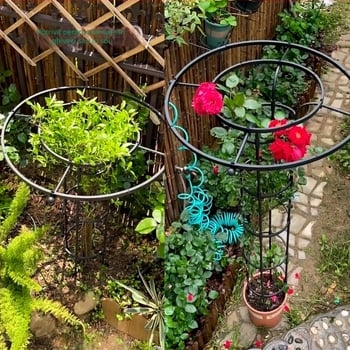 Suport de flori în formă de umbrelă pentru viță de vie și trandafiri cățărători, țeavă din oțel galvanizat cu strat de plastic, pentru exterior