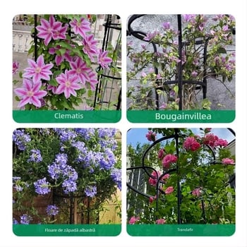 Suport de flori în formă de umbrelă pentru viță de vie și trandafiri cățărători, țeavă din oțel galvanizat cu strat de plastic, pentru exterior