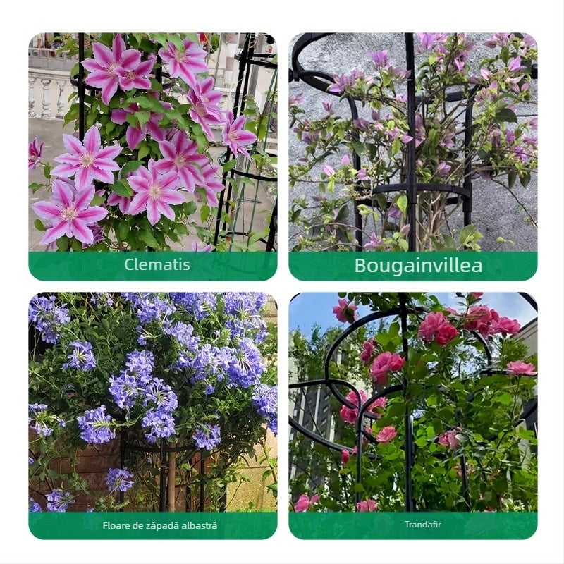 Suport de flori în formă de umbrelă pentru viță de vie și trandafiri cățărători, țeavă din oțel galvanizat cu strat de plastic, pentru exterior