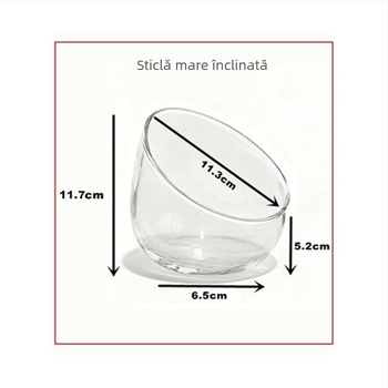 Mini peisaj cu mușchi – DIY ecologic, sticlă borosilikat de înaltă calitate, pentru birou, așezare