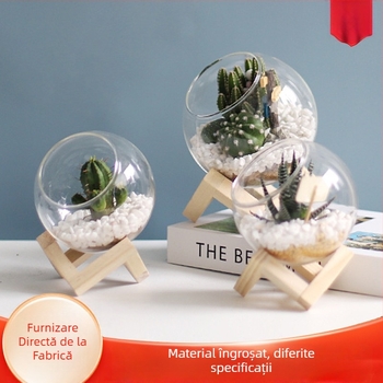 Moss Micro-Landscape într-un terrariu de sticlă – Xuanyi, sticlă borosilicată de înaltă calitate, afișaj pe birou, ambalat în pungă PP