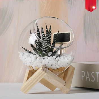 Moss Micro-Landscape într-un terrariu de sticlă – Xuanyi, sticlă borosilicată de înaltă calitate, afișaj pe birou, ambalat în pungă PP
