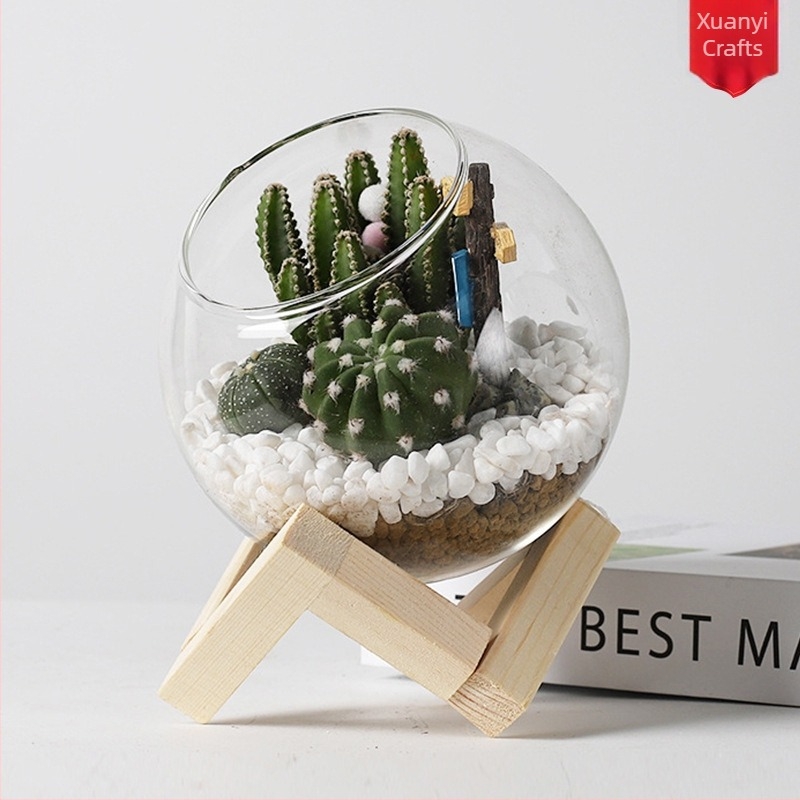 Moss Micro-Landscape într-un terrariu de sticlă – Xuanyi, sticlă borosilicată de înaltă calitate, afișaj pe birou, ambalat în pungă PP