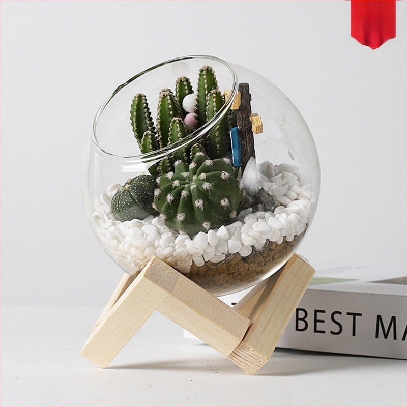 Moss Micro-Landscape într-un terrariu de sticlă – Xuanyi, sticlă borosilicată de înaltă calitate, afișaj pe birou, ambalat în pungă PP