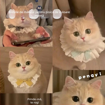 BIB pentru animale de companie, Stil relaxat (Model: Litere, Procesare: Jacquard, Țesut: Alte, Sezon: Patru anotimpuri)