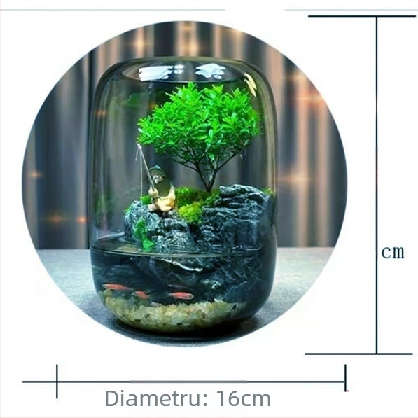 Vază de birou pentru micro-peisaj cu plante — sticlă obișnuită, Brand: Enlightenment Source, Ambalare carton, Așezare pe suprafață, Mărci private disponibile