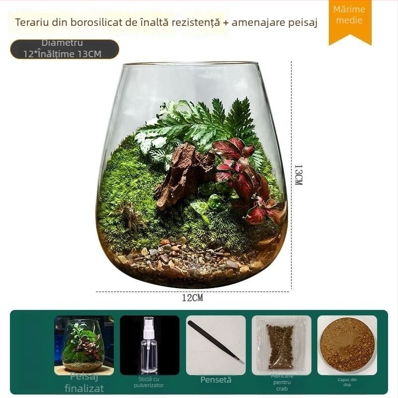 Terrariu de birou din sticlă – Micro peisaj, Model ZY2533, Material: Altul, Importat: Nu