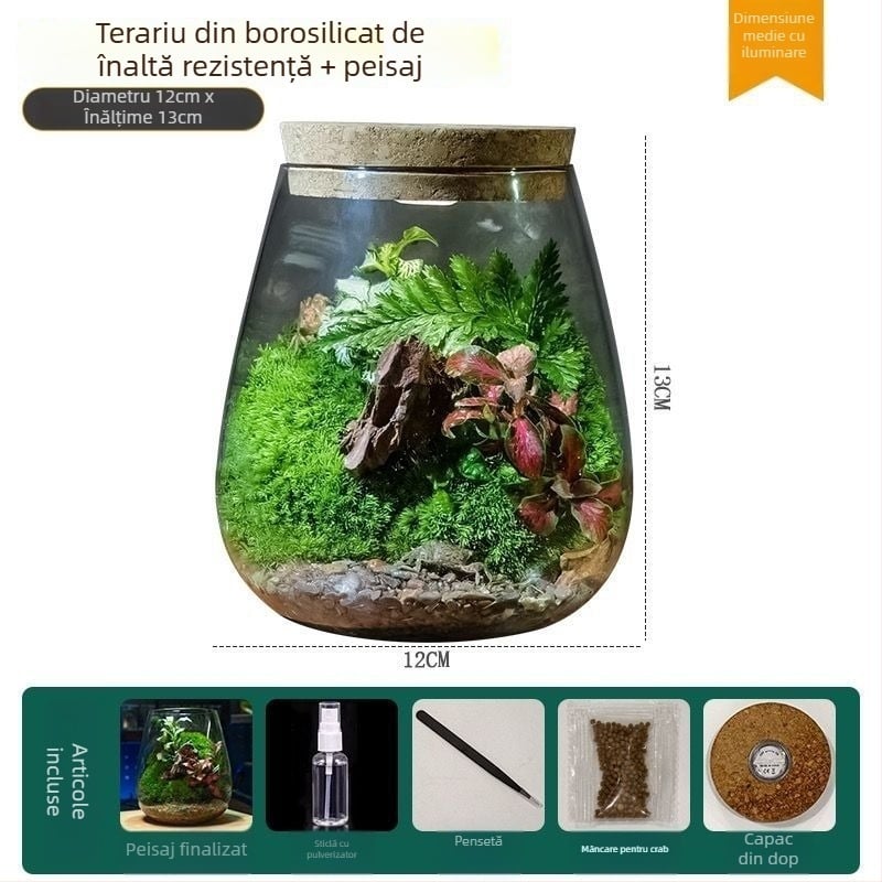 Terrariu de birou din sticlă – Micro peisaj, Model ZY2533, Material: Altul, Importat: Nu