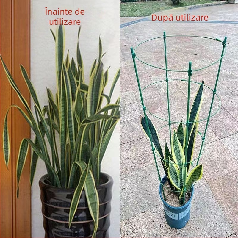 Suport de plante urcător interior cu cadru din plastic, pentru trandafiri și clematis