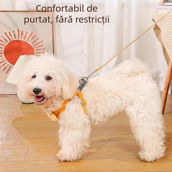 Lesă pentru câine, ham în stil vestă cu design desenat, reflexiv pentru câini de talie mică