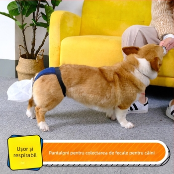 Geantă de fecale pentru câini în vârstă și instrument de colectare - Pungă de fecale pentru incontinență la câinii seniori (Origine: Altă; Cantitatea în cutie: Altă; Categoria produsului: Toaletă)