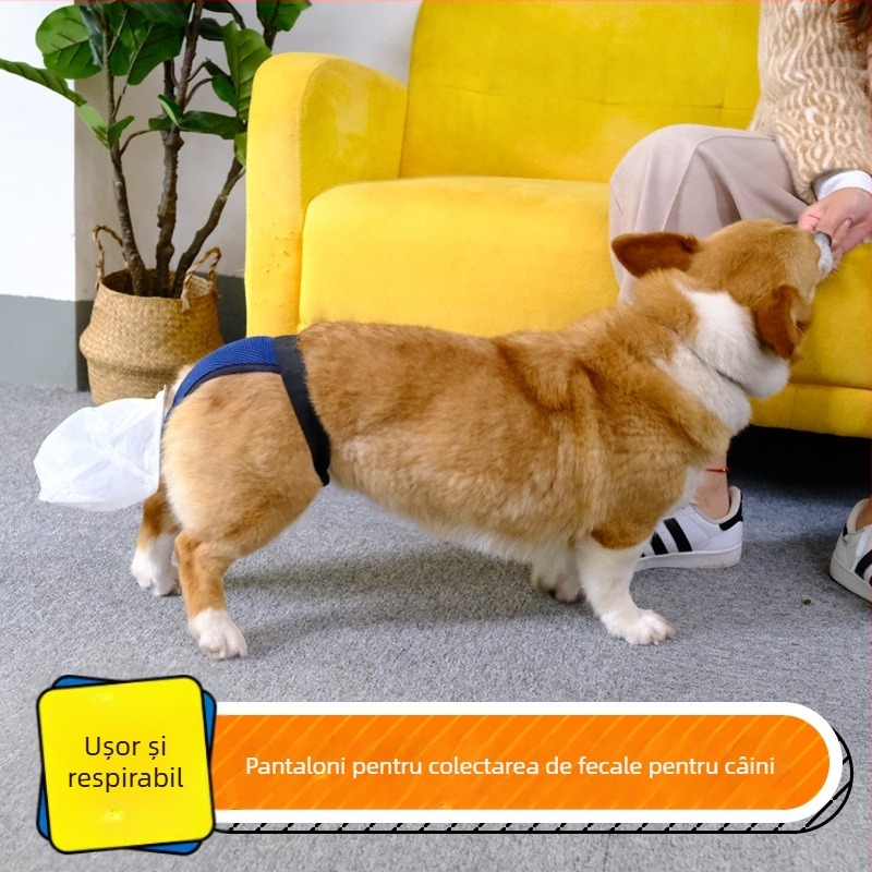 Geantă de fecale pentru câini în vârstă și instrument de colectare - Pungă de fecale pentru incontinență la câinii seniori (Origine: Altă; Cantitatea în cutie: Altă; Categoria produsului: Toaletă)