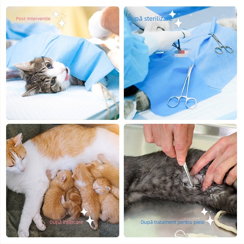 Îmbrăcăminte pentru pisici după sterilizare – tricou din bumbac respirabil pentru animale de companie, cu prindere triplă: pulover elastic, curea pe spate, Velcro la coadă; protejează împotriva infecției, linsului și fluxului de lapte; confortabil, aderent