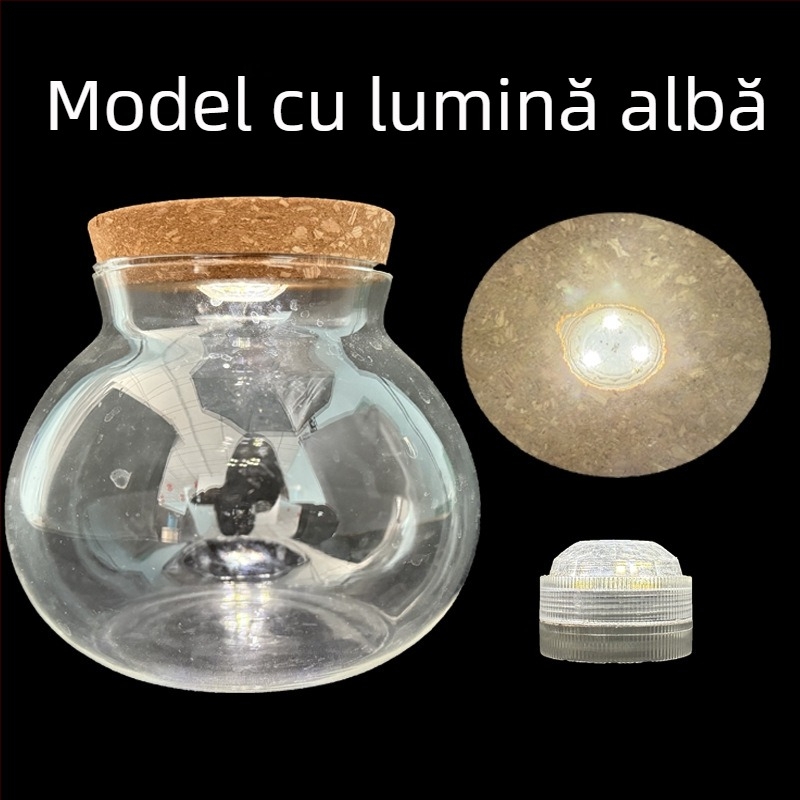 Vază hidroponică pentru plante din sticlă borosilicată înaltă, turnată, personalizabilă
