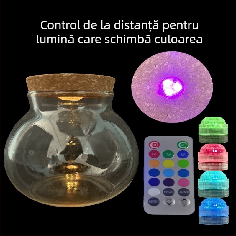 Vază hidroponică pentru plante din sticlă borosilicată înaltă, turnată, personalizabilă