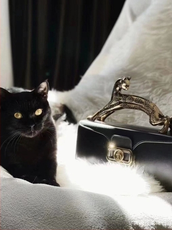 Geantă de femei din piele naturală, mică pătrată pentru umăr, căptușeală din piele de vițel, formă orizontală, închidere magnetică, buzunar cu fermoar