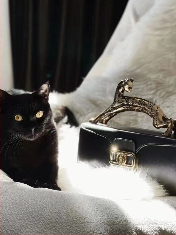 Geantă de femei din piele naturală, mică pătrată pentru umăr, căptușeală din piele de vițel, formă orizontală, închidere magnetică, buzunar cu fermoar