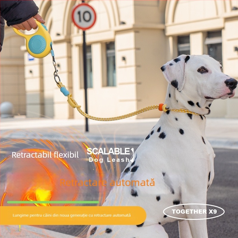 Lesă pentru câini, retractabilă automată | Material ABS | Sour Bear | Cutie 100 buc