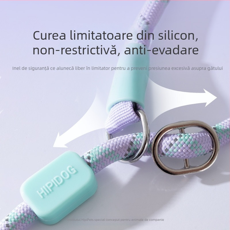Lesă de câine Sour bear, poliester, lungime fixă, pentru animale de companie