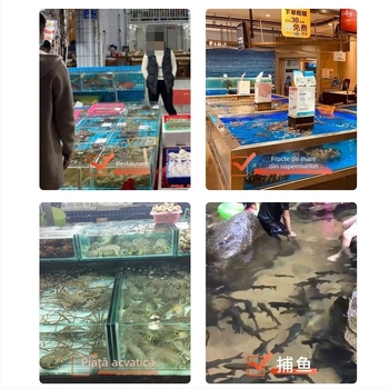 Plasă de pescuit pentru acvacultură — echipament pentru acvariu, pentru uz casnic și piețe cu fructe de mare