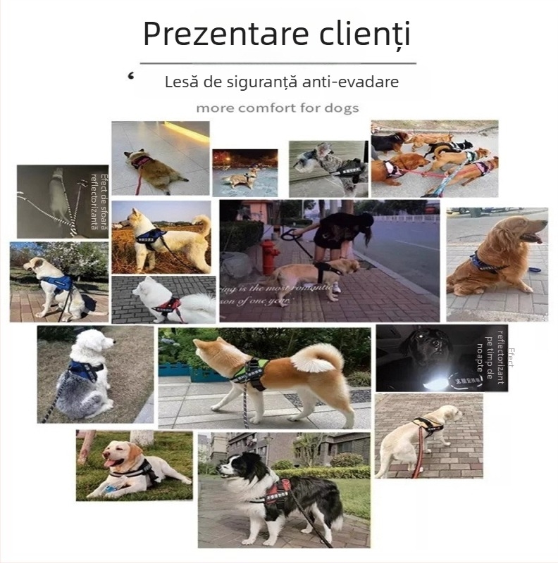 Ham de tip vest cu lesă și zgardă pentru câini de talie medie: Border Collie, Golden Retriever, French Bulldog
