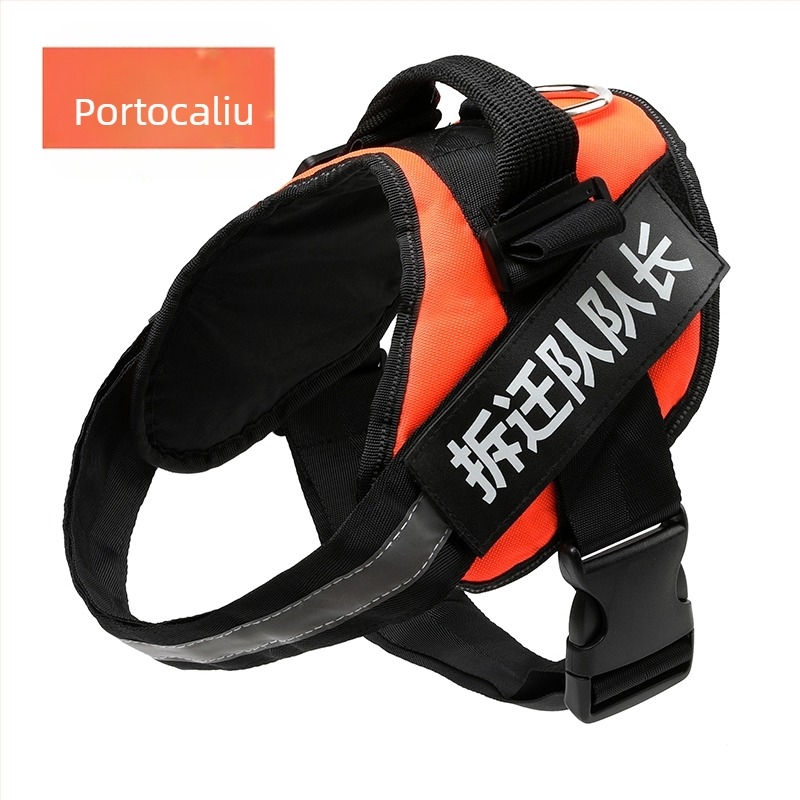 Ham de tip vest cu lesă și zgardă pentru câini de talie medie: Border Collie, Golden Retriever, French Bulldog