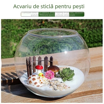 Vază circulară din sticlă pentru hidroponie cu suculente – sticlă suflată, suprafață lustruită, personalizabilă, imprimare a logo-ului