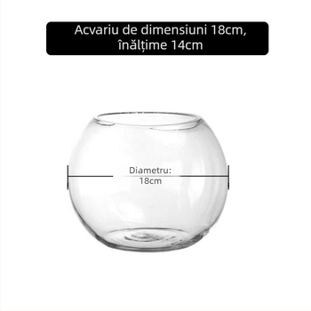 Vază circulară din sticlă pentru hidroponie cu suculente – sticlă suflată, suprafață lustruită, personalizabilă, imprimare a logo-ului