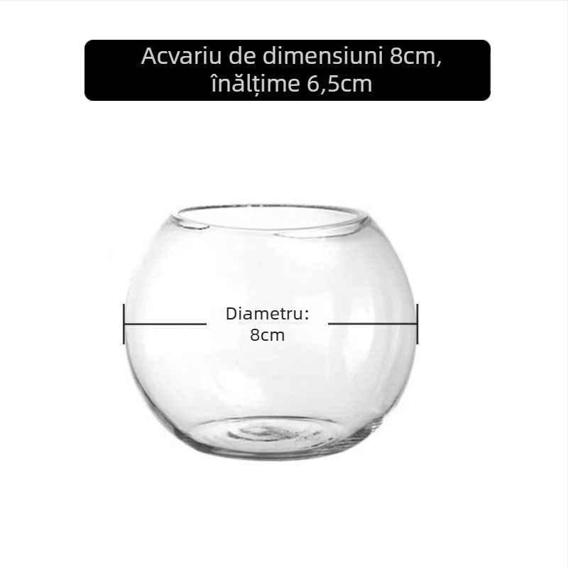 Vază circulară din sticlă pentru hidroponie cu suculente – sticlă suflată, suprafață lustruită, personalizabilă, imprimare a logo-ului