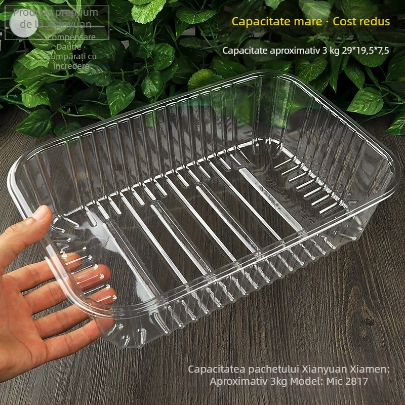 Cutie de fructe PET, de unică folosință, fără capac, model 1813, material PET, grosime pereți 0,3 mm, diametru interior 120 mm