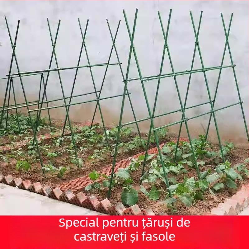 Treliță pentru fasole pentru balcon și grădină, cadru de susținere pentru plante cățărătoare, conductă din oțel acoperit cu plastic, pentru exterior