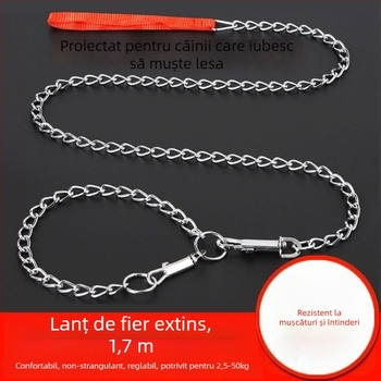 Lesă de câine cu lanț din fier – lanț pentru animale de companie, șnur cu lanț, pandantiv