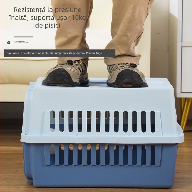 Carrier din plastic pentru animale, 48L, model Cartoon, transport pentru pisici și câini