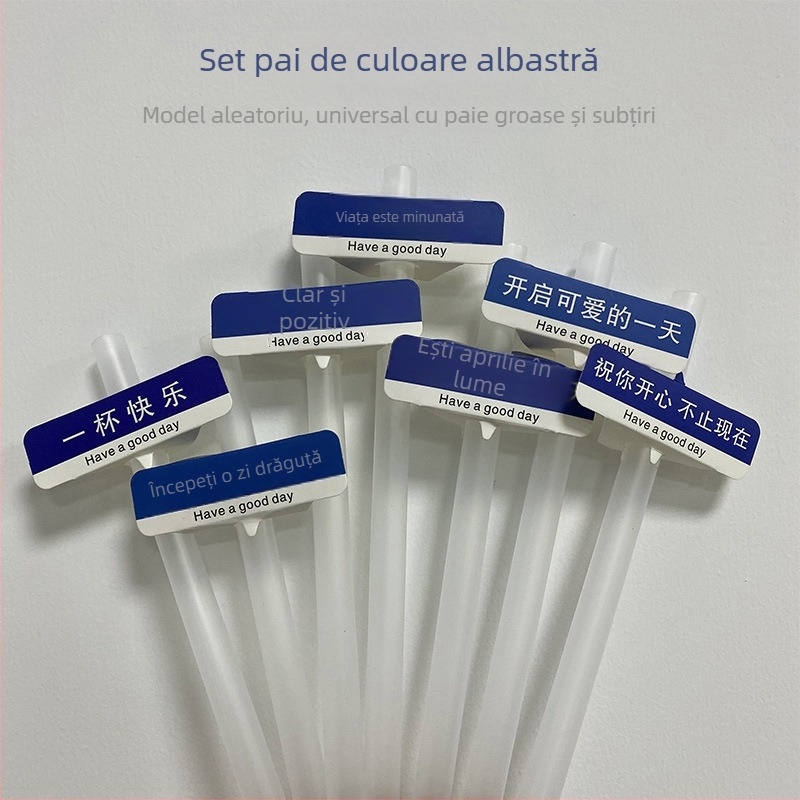 Pahar PET de unică folosință pentru băuturi cu lapte/latte, 301–400 ml, transparent, anti-scurgeri, imprimare logo, personalizare disponibilă