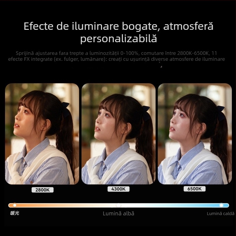 Lumină de umplere plată pentru fotografie și streaming live — Shenniu, model C211114, aluminiu