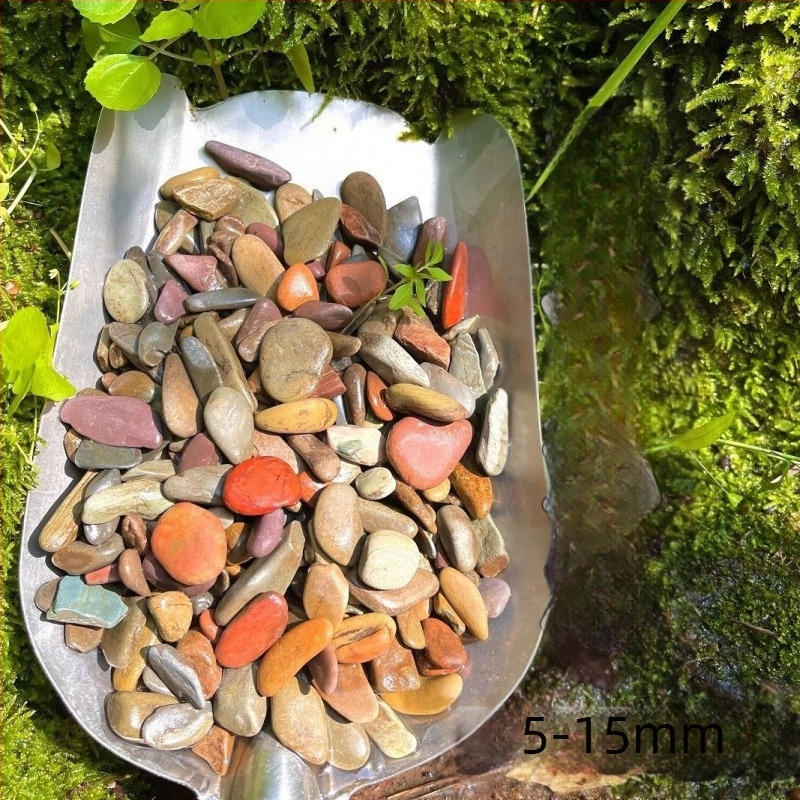 Substrat pentru acvariu – Material scoică, Stil peisaj cu mușchi, Plante simulate decorativ