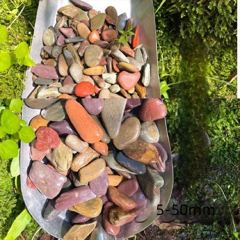 Substrat pentru acvariu – Material scoică, Stil peisaj cu mușchi, Plante simulate decorativ