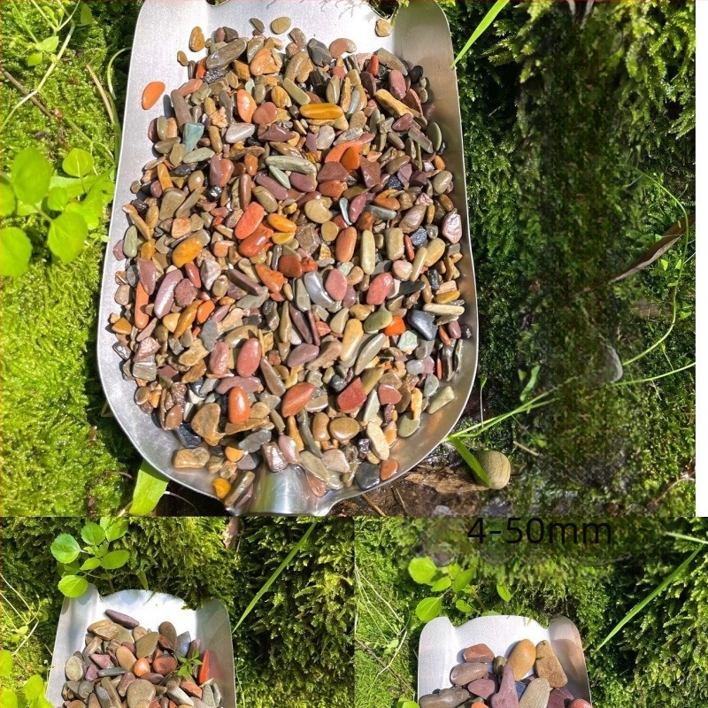 Substrat pentru acvariu – Material scoică, Stil peisaj cu mușchi, Plante simulate decorativ